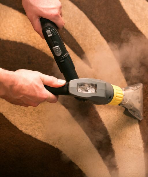 Steam carpet cleaning services
